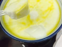 青海手工老酸奶-清真明德斋茶餐厅民族饭店(北京街店)