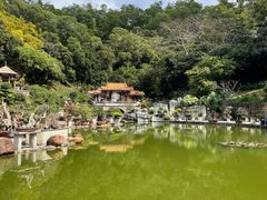 -深圳仙湖植物园