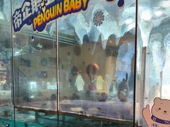 -帝企鹅自助餐厅•儿童岛•真企鹅(长隆企鹅酒店)