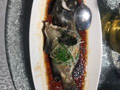 清蒸石斑鱼-达叔香味海鲜(海棠68环球美食街店)