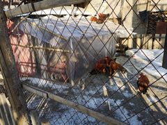 -鱼窝棚柴火铁锅炖(富山屯店)