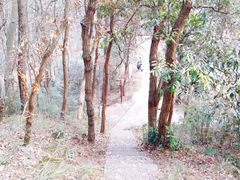-青龙山国家森林公园