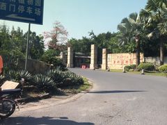 -华南植物园停车场