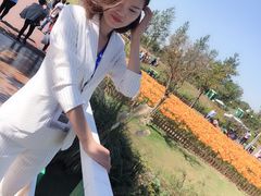 -荷兰花海
