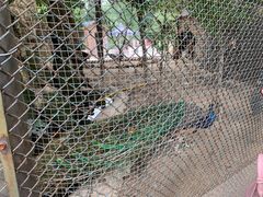 -陕西自然博物馆