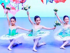 -芭蕾仙子 FairyBallet 少儿芭蕾舞蹈中心(丽都旗舰店)