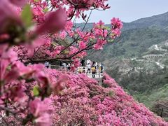 -木兰云雾山