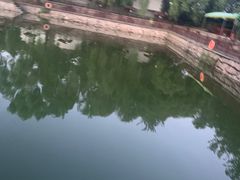 -尚庄度假村·庭台树下·户外烧烤·团建CS·轰趴营地(上庄水库店)