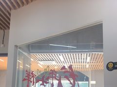 -小团圆灶台鱼·百城头牌菜(千岛湖店)
