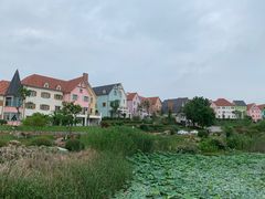 -大塘金香草谷