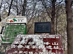 -北京鹫峰国家森林公园