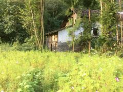 -鹿院坪生态旅游景区