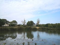 -新江湾城公园