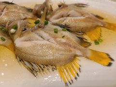 十六梅鱼-高佳庄·舟山海鲜(海景旗舰店)