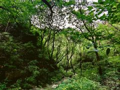 -老象峰