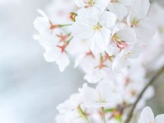 -苏州上方山国家森林公园