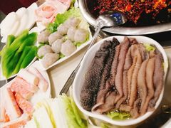 -朱氏胖子烂火锅(洪崖洞店)
