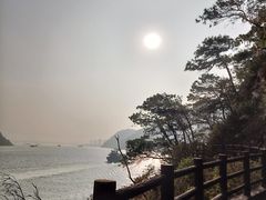 -羚羊峡古栈道森林公园