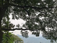 -广州市白云山风景名胜区