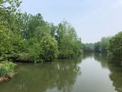 -溱湖国家湿地公园