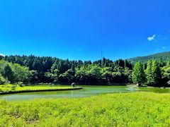 -武陵山森林公园