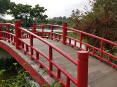 -东莞植物园