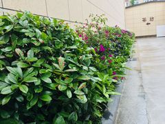 -月圆霖特色农家乐