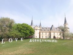 -北京张裕爱斐堡酒庄