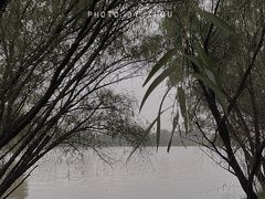 -长兴太湖图影湿地文化园