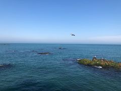 -海驴岛(荣成市)
