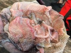-化龙桥九宫格火锅(清水河店)
