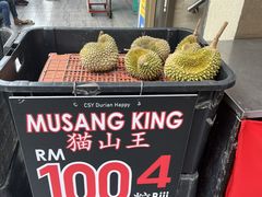 -ICC PUDU