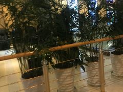 -至潮影城(庆春路锦和大厦店)