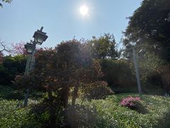 -乌山风景区