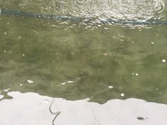 -小象钓虾·营地烧烤(洛溪店)