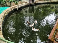 -南宫五洲植物乐园