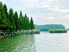 -东钱湖旅游度假区