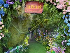 -沂蒙云瀑洞天景区