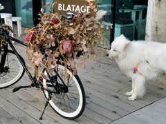 门面-BLATAGE COFFEE