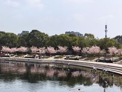 -新江湾城公园