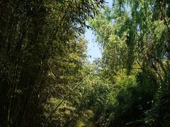 -竹泉村旅游度假区
