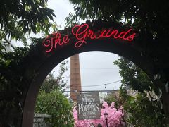 -The Grounds of Alexandria