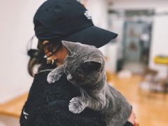 -有喵·猫咖·狗咖·40+猫狗有小奶狗(岗厦店)