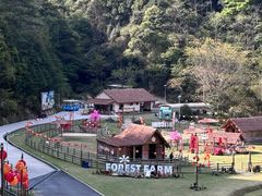 -龙岩森林水乡景区