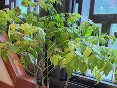 -盛世川王•幸福里(长虹店)