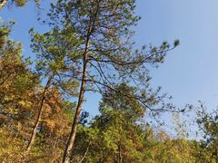 -浮山风景名胜区