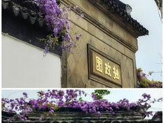 -拙政园