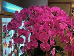 -全聚德烤鸭店(马家堡店)