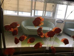 点击看大图 -杭州贝瑞斯美华妇儿医院·早孕·产检·儿科