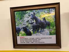 -陈记贵州遵义羊肉粉·酸汤鱼(法华镇路店)